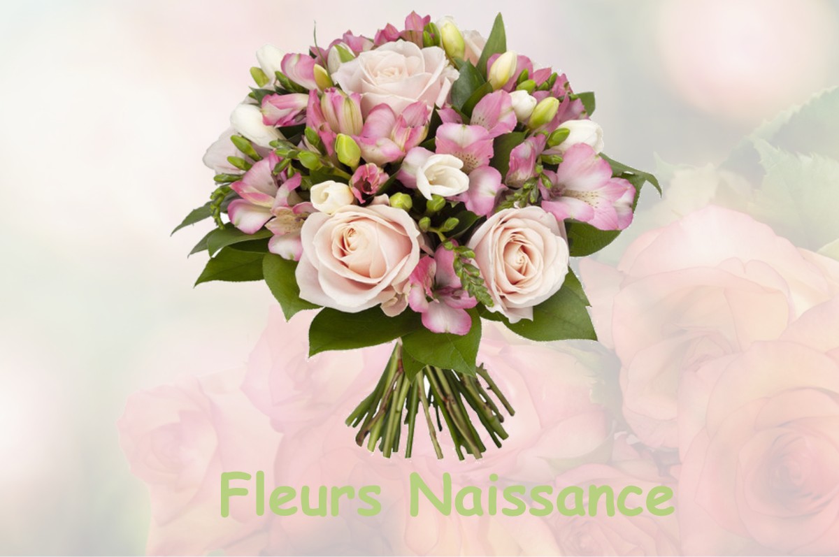 fleurs naissance PUYSSEGUR