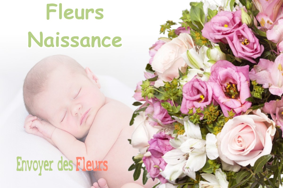 lIVRAISON FLEURS NAISSANCE à PUYSSEGUR